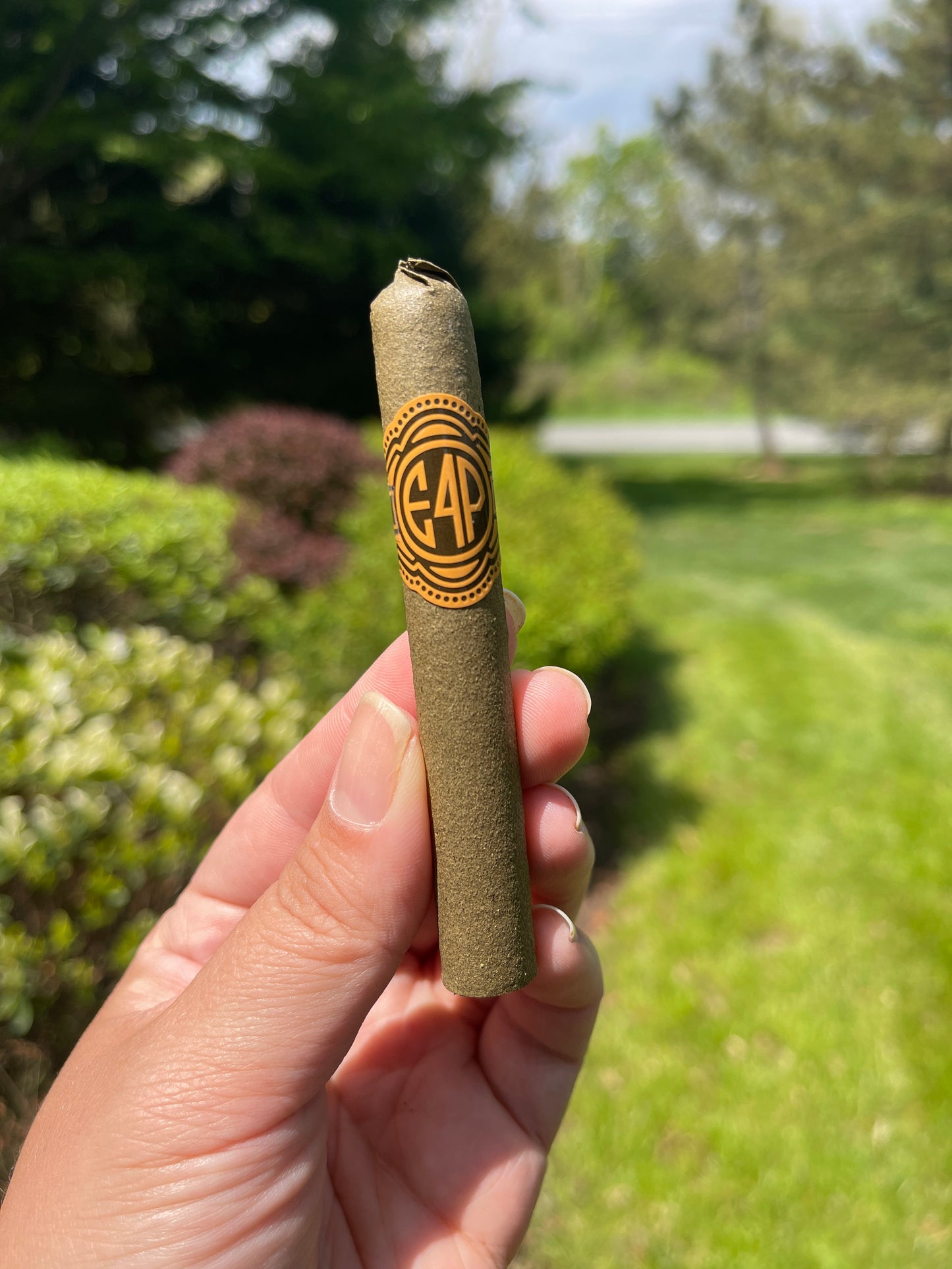6 Gram E4P Blunt Cigar - E4P