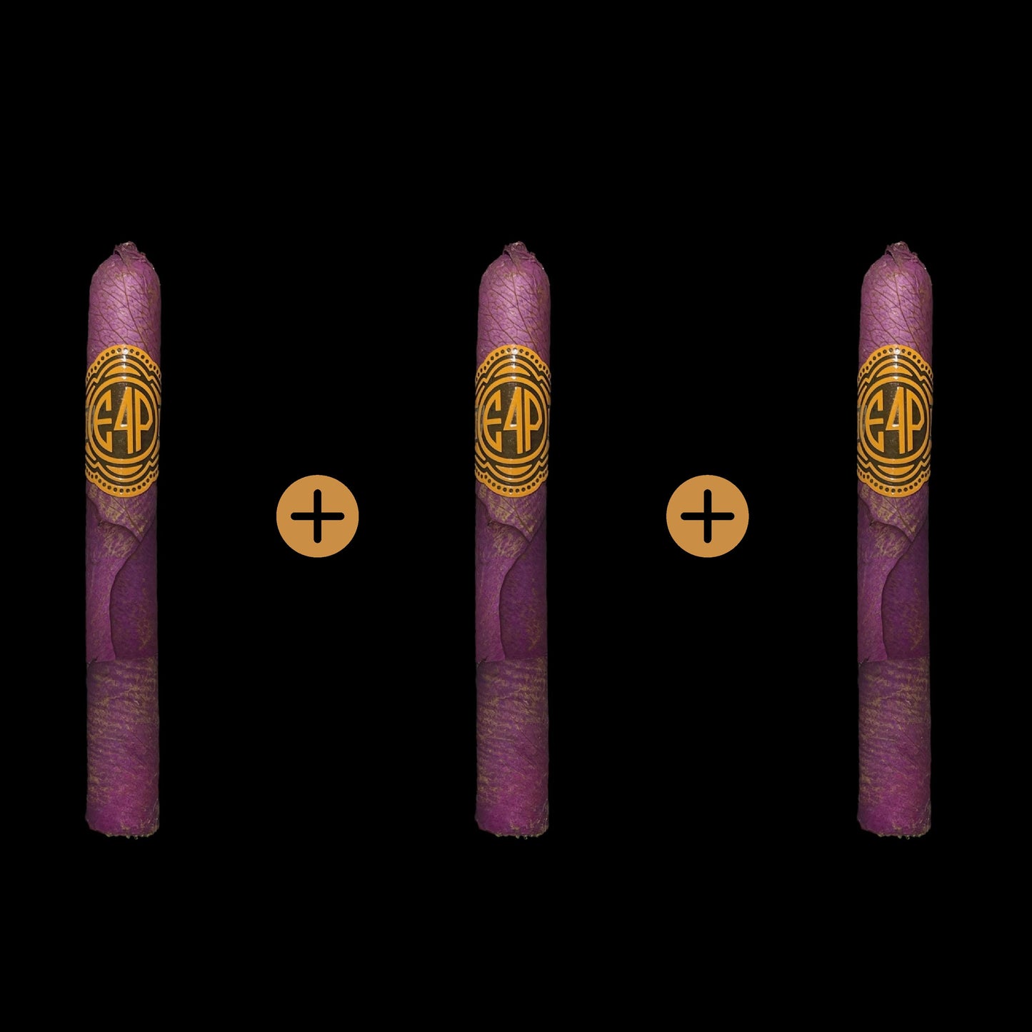Rose Cigar Bundle Box - E4P