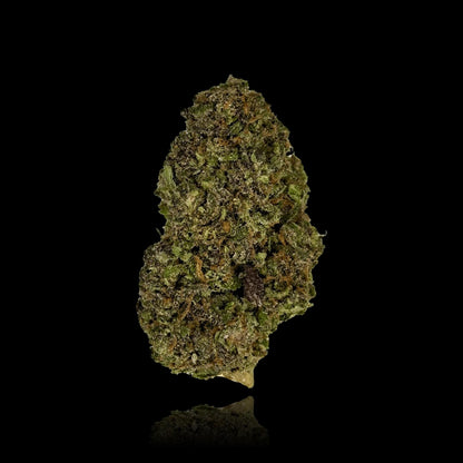 Indoor CBD Flower - Raspberry Bear Claw